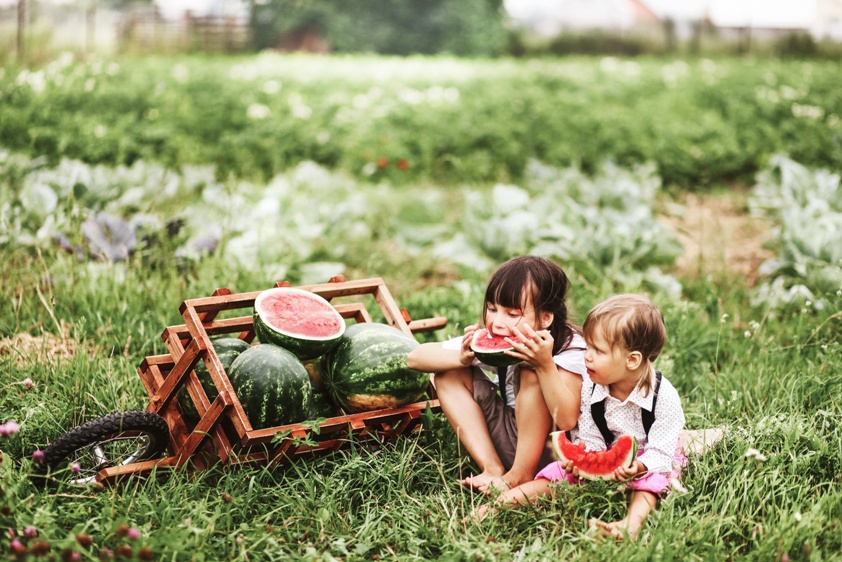 Seaonal Eating Watermelon