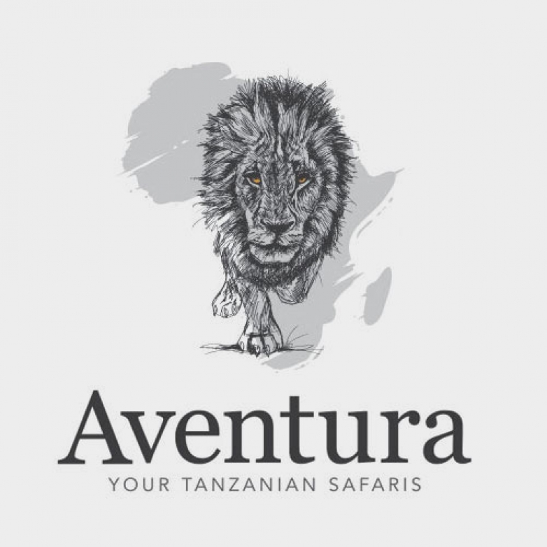 Mobile Responsive Web Design for Aventura Safaris, Plan Your Next Adventure!